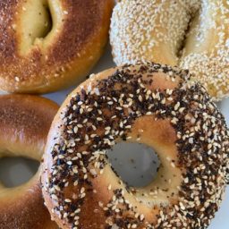 Gussy’s Bagels and Deli Opens in Oakland