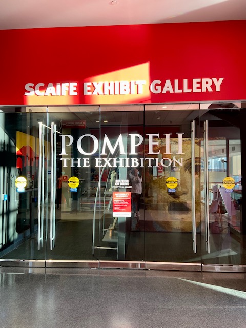 pompeii exhibit